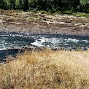 Meet your Posher, Joyce